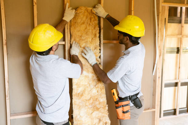 Best Insulation for Existing Homes  in Mount Airy, NC