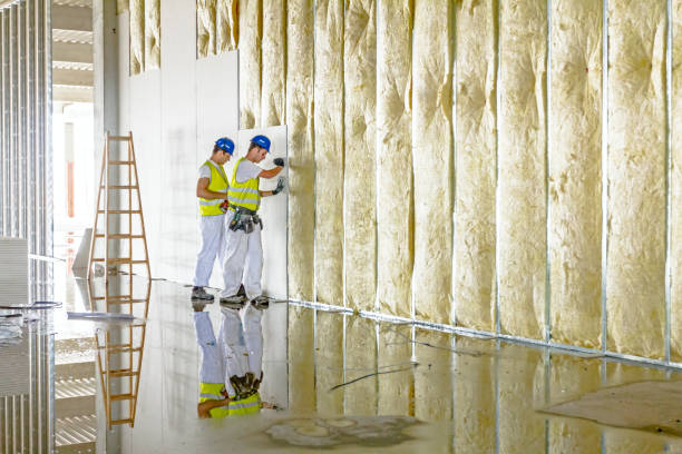 Best Insulation for New Construction  in Mount Airy, NC